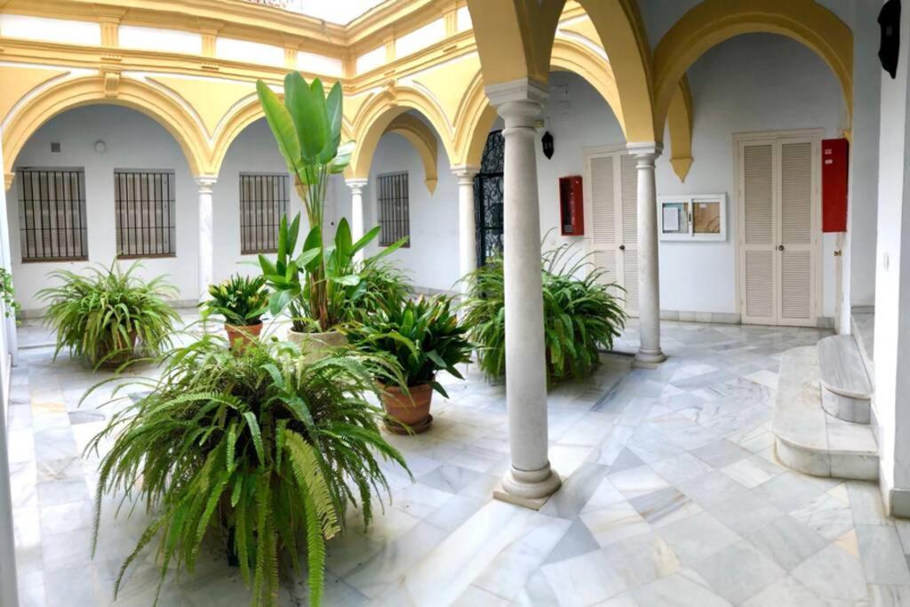 Gatu Villa Palma, Aire Acc Y Confort En El Centro Historico, " Preferente Mayores De 25 Anos Y Familias " El Puerto de Santa María Exteriör bild