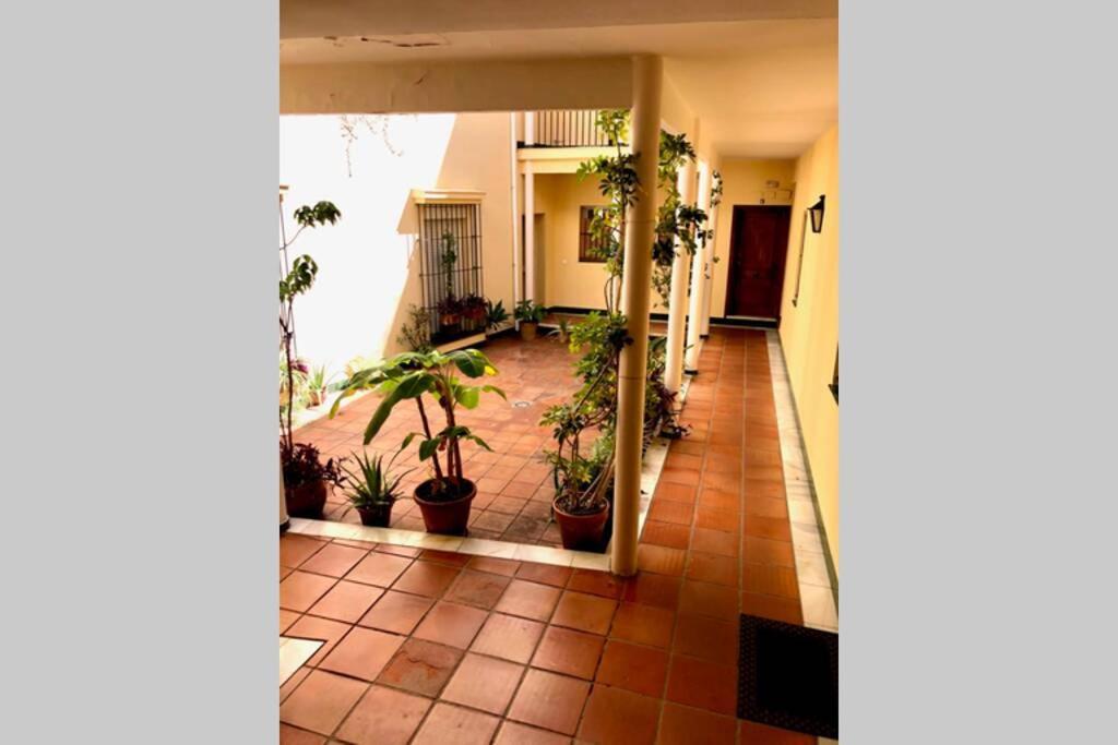 Gatu Villa Palma, Aire Acc Y Confort En El Centro Historico, " Preferente Mayores De 25 Anos Y Familias " El Puerto de Santa María Exteriör bild